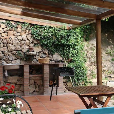 Casa Ecologica En Plena Naturaleza Arboli المظهر الخارجي الصورة